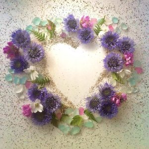 Julie's Clifftop Wildflowers